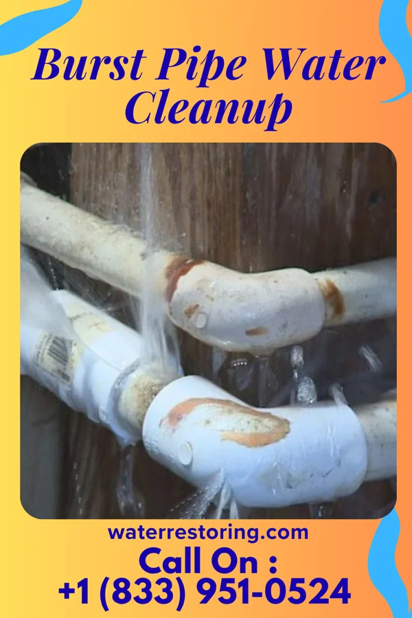Burst Pipe Water Cleanup in Waynesfield, OH