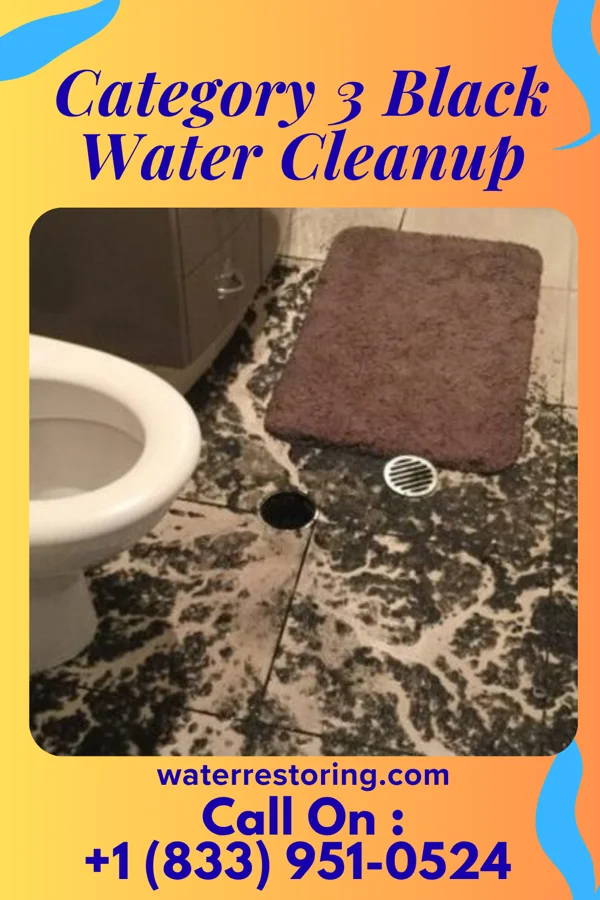 Category 3 Black Water Cleanup in Waynesfield, OH