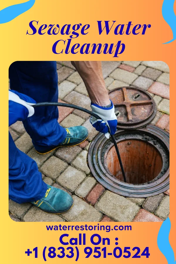 Sewage Water Cleanup in Waynesfield, OH